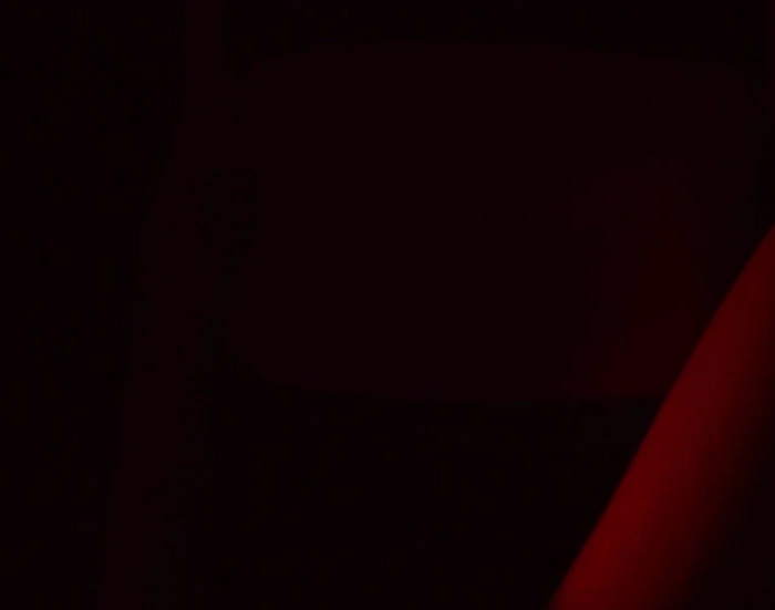 Red Light Club about video